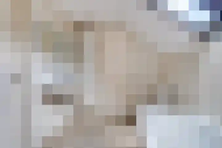 Vinkenslag 8 Hilvarenbeek thumbnail 31