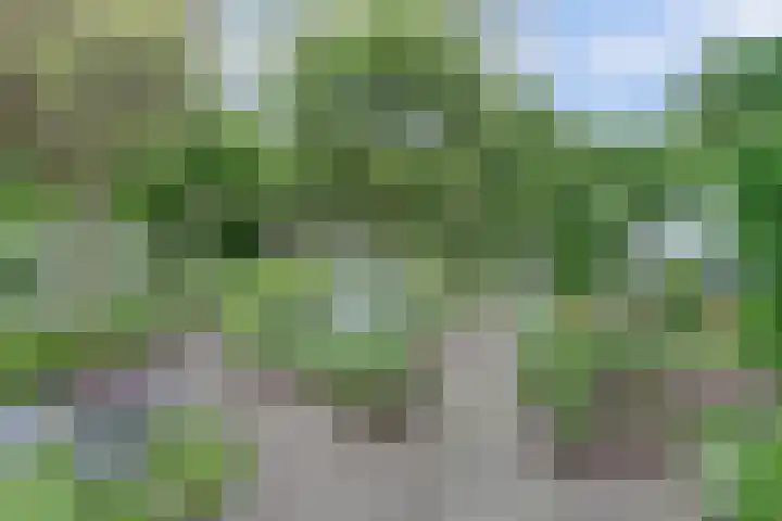 Vinkenslag 8 Hilvarenbeek thumbnail 34