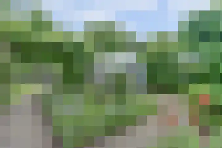 Vinkenslag 8 Hilvarenbeek thumbnail 35