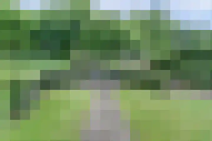 Vinkenslag 8 Hilvarenbeek thumbnail 36