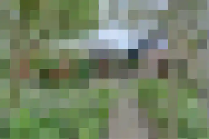 Vinkenslag 8 Hilvarenbeek thumbnail 38