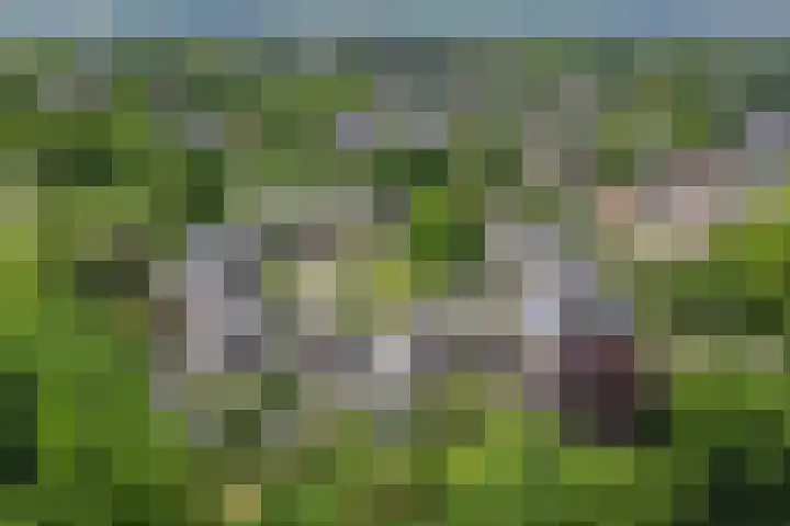 Vinkenslag 8 Hilvarenbeek thumbnail 39