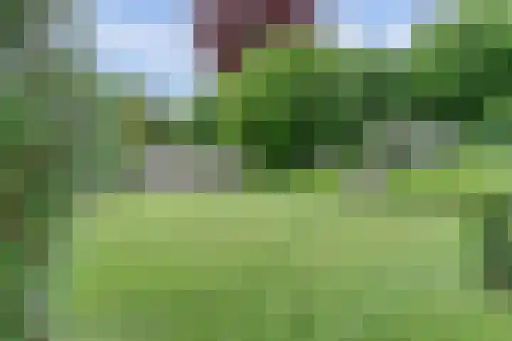 Vinkenslag 8 Hilvarenbeek thumbnail 4