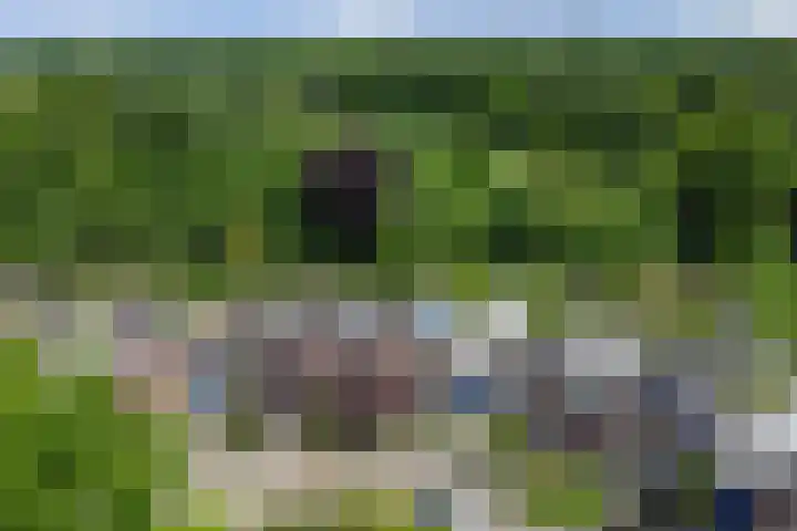 Vinkenslag 8 Hilvarenbeek thumbnail 40