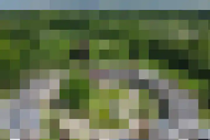 Vinkenslag 8 Hilvarenbeek thumbnail 41