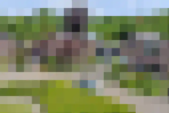Vinkenslag 8 Hilvarenbeek thumbnail 43