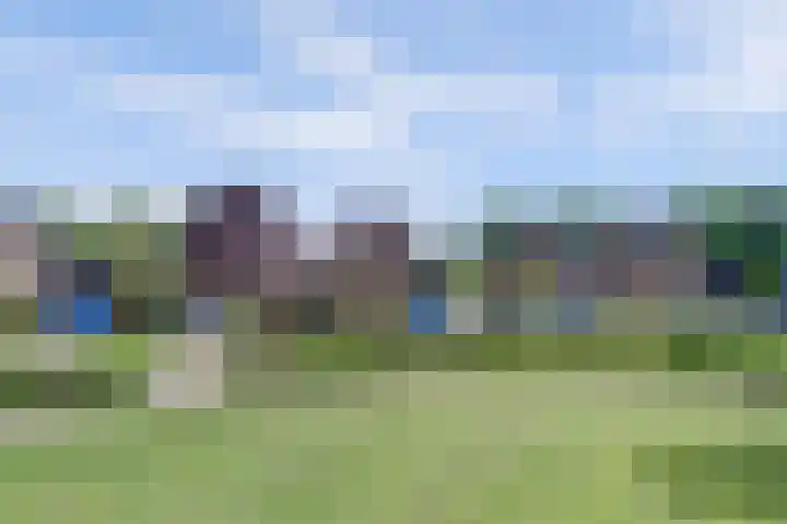 Vinkenslag 8 Hilvarenbeek thumbnail 44