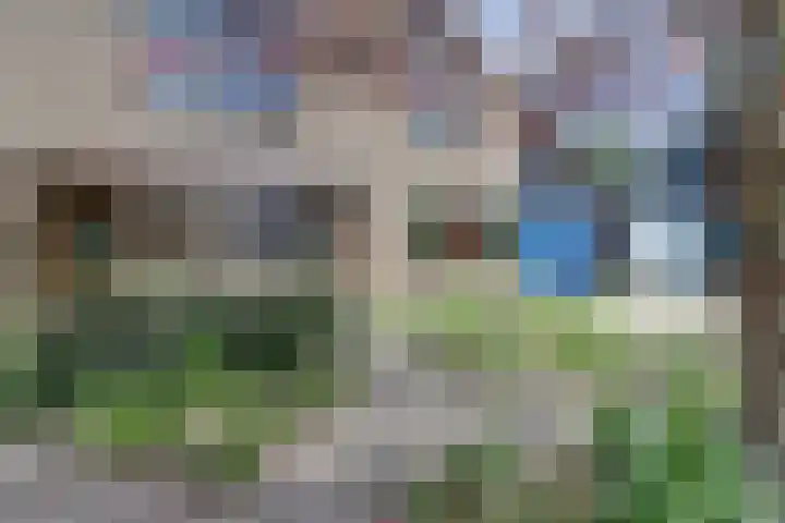 Vinkenslag 8 Hilvarenbeek thumbnail 45