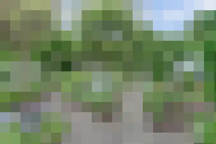 Vinkenslag 8 Hilvarenbeek thumbnail 5