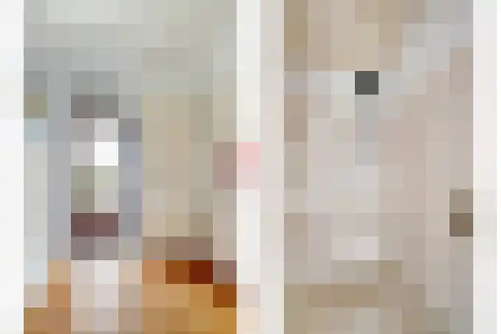 Vinkenslag 8 Hilvarenbeek thumbnail 7