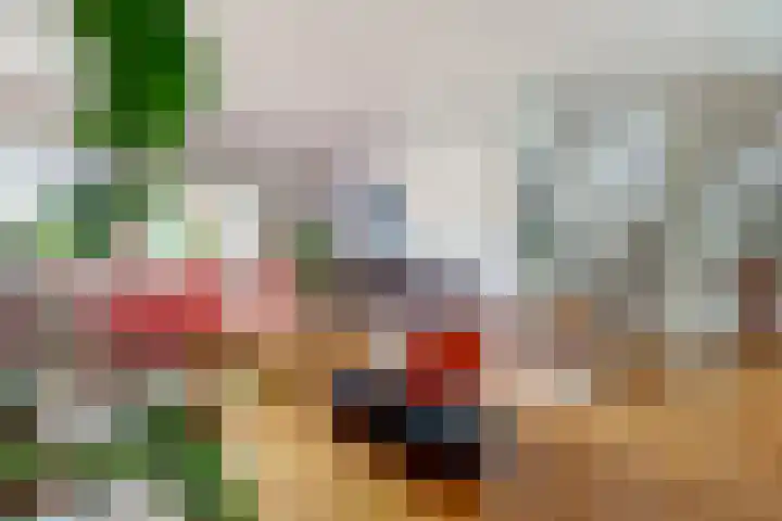 Vinkenslag 8 Hilvarenbeek thumbnail 8