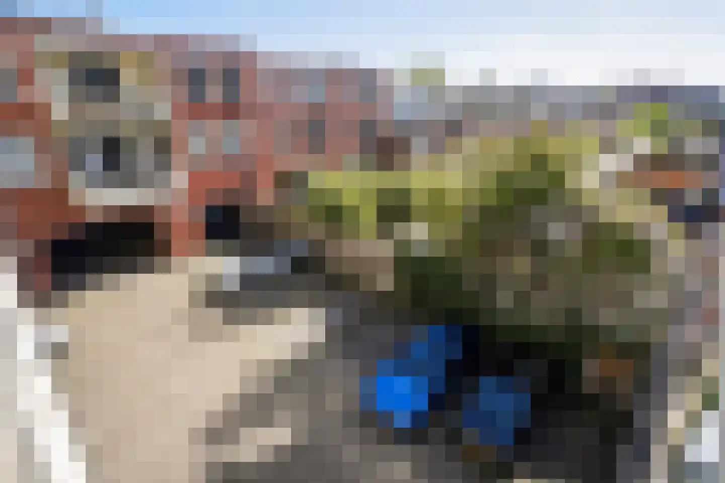 Vinkensteynstraat 14 A Den Haag thumbnail 6