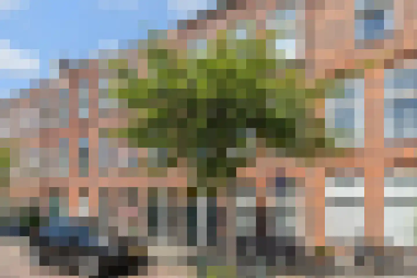 Vinkensteynstraat 83 Den Haag