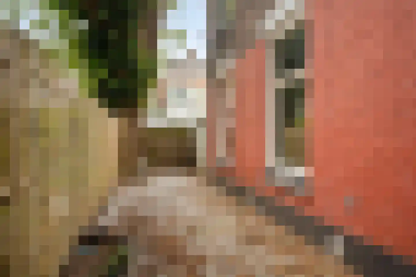 Vinkensteynstraat 87 Den Haag thumbnail 15