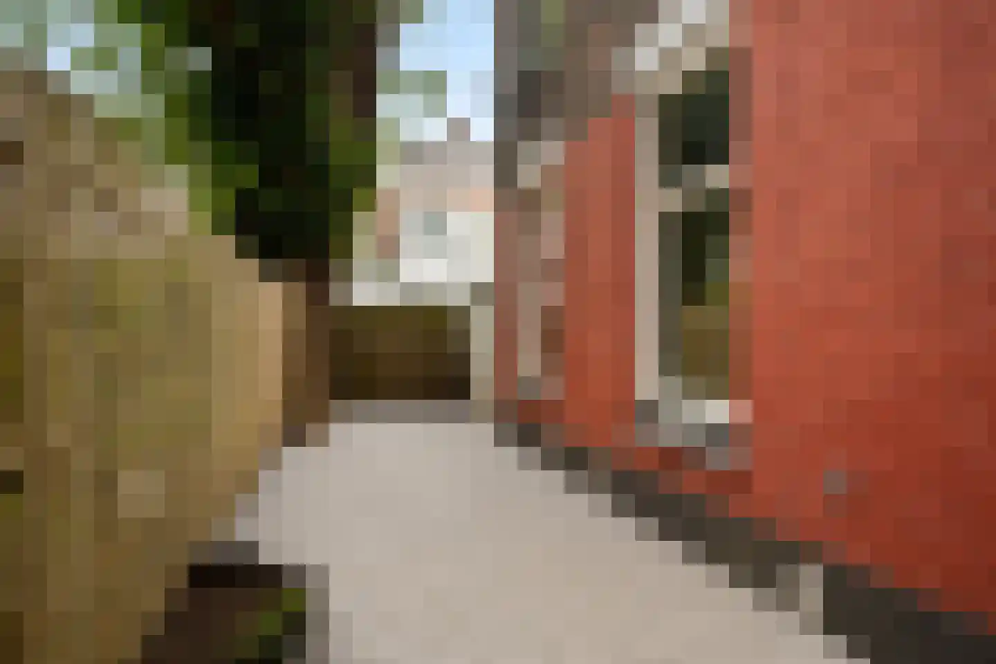 Vinkensteynstraat 87 Den Haag thumbnail 4