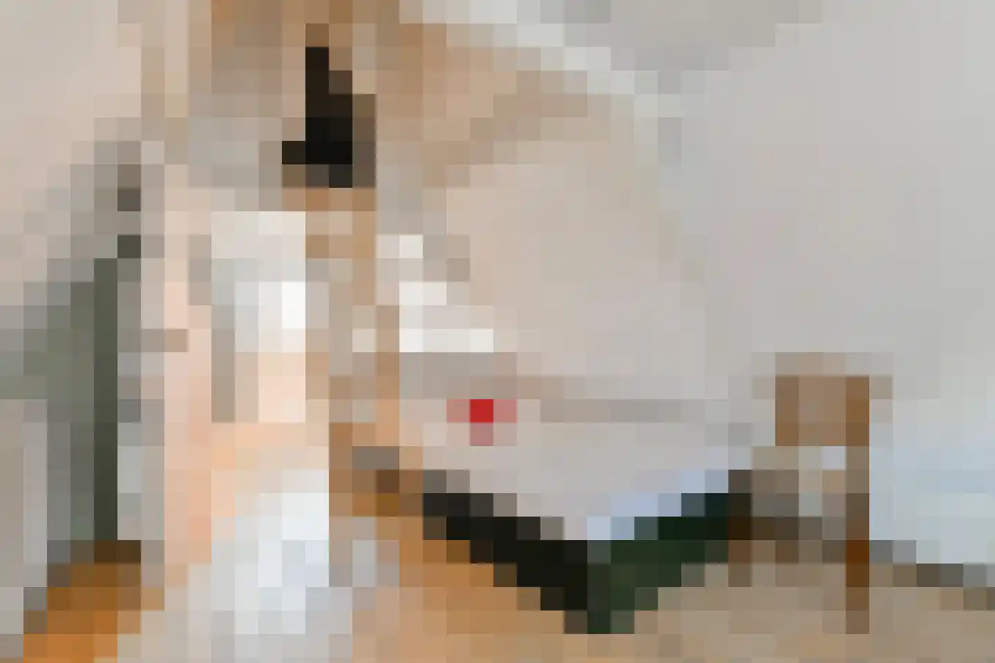 Vinkenstraat 1 A Amsterdam thumbnail 35