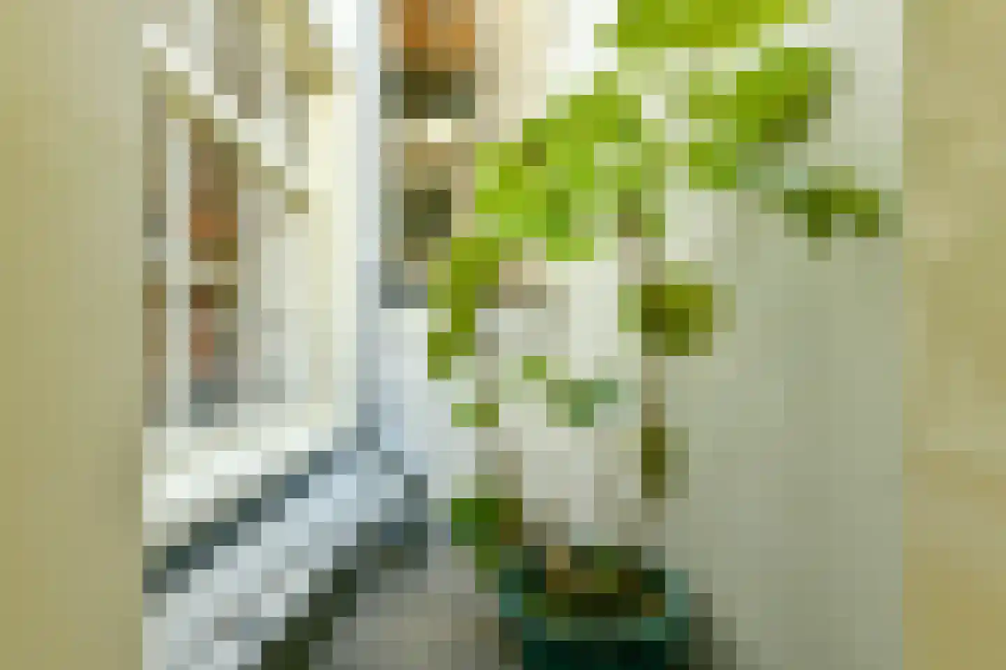 Vinkenstraat 1 A Amsterdam thumbnail 9