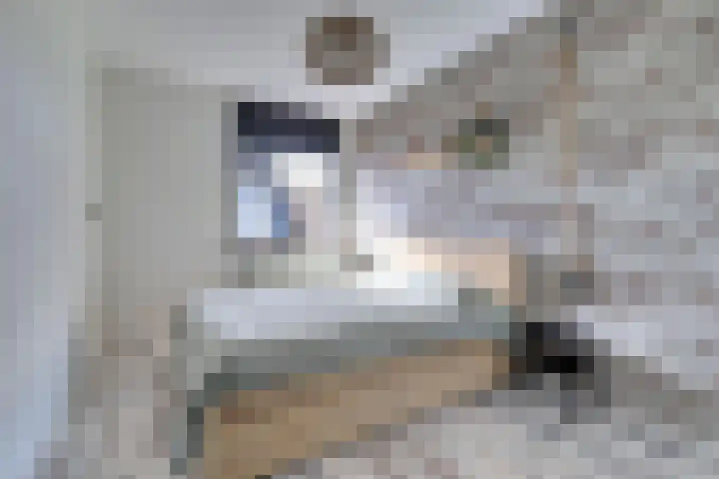 Vinkenstraat 1 Arnhem thumbnail 19