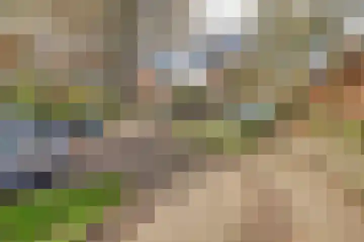 Vinkenstraat 1 Arnhem thumbnail 31