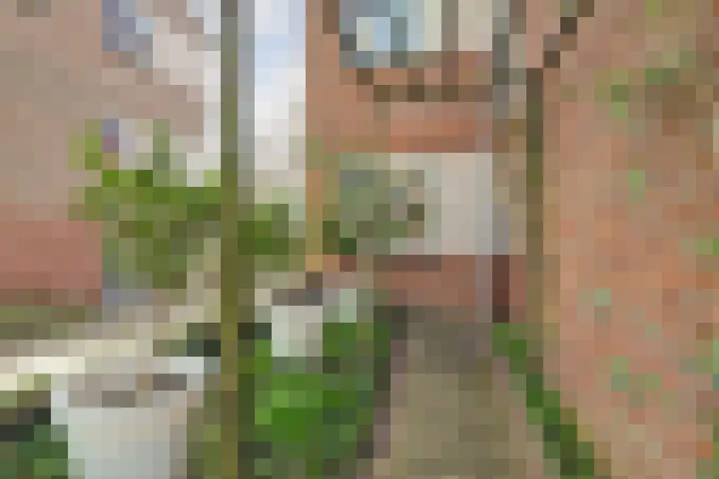 Vinkenstraat 1 Arnhem thumbnail 6