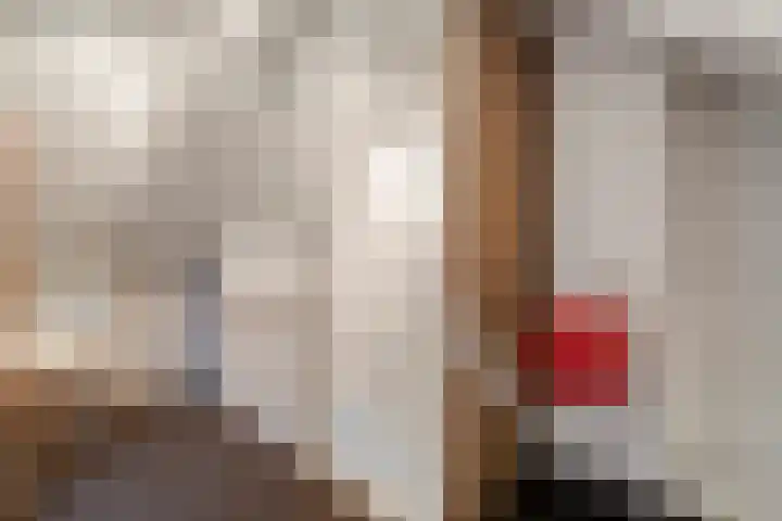 Vinkenstraat 11 Hardenberg thumbnail 32