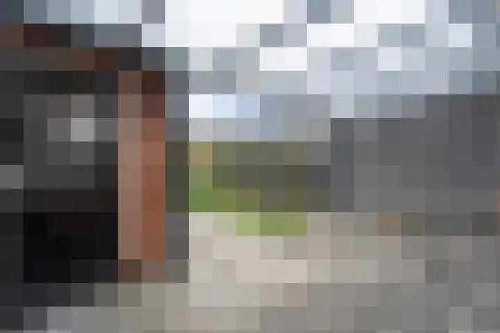 Vinkenstraat 11 Hardenberg thumbnail 36