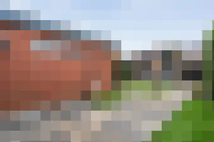Vinkenstraat 11 Hardenberg thumbnail 38