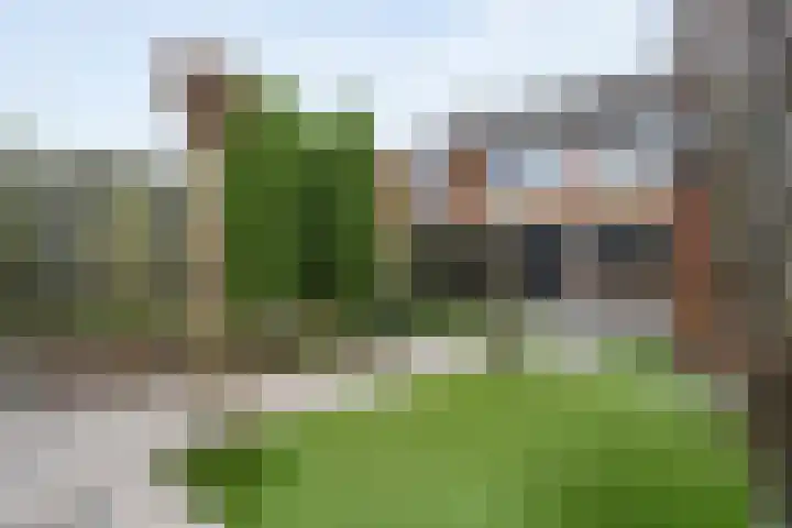 Vinkenstraat 11 Hardenberg thumbnail 39