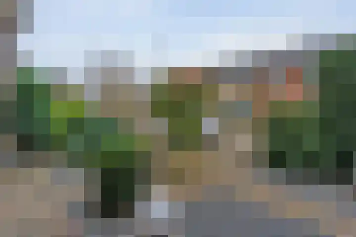Vinkenstraat 11 Hardenberg thumbnail 7