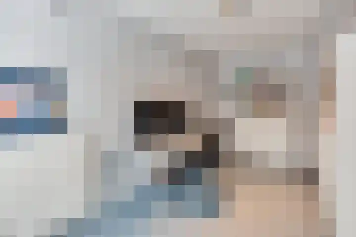 Vinkenstraat 11 Hilversum thumbnail 18