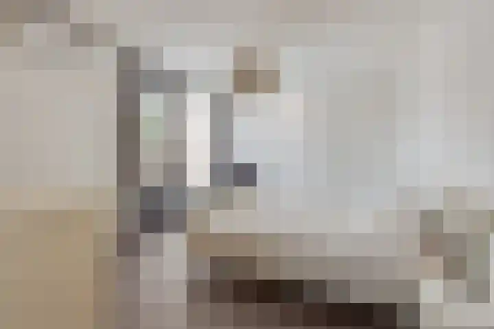 Vinkenstraat 11 Hilversum thumbnail 26