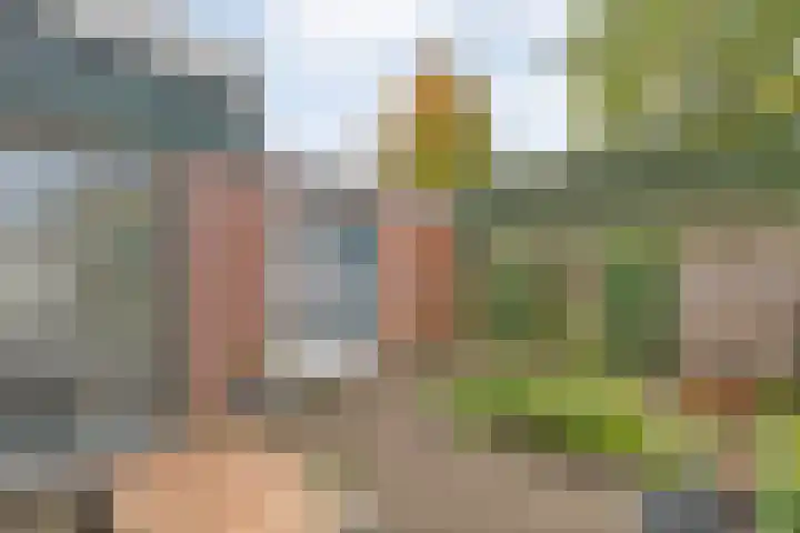 Vinkenstraat 16 Hardenberg thumbnail 27