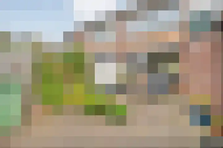 Vinkenstraat 16 Hardenberg thumbnail 28