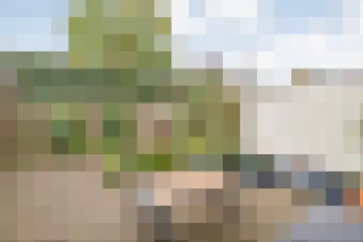 Vinkenstraat 16 Hardenberg thumbnail 30