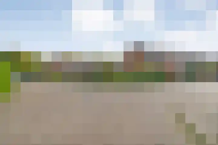 Vinkenstraat 16 Hardenberg thumbnail 32