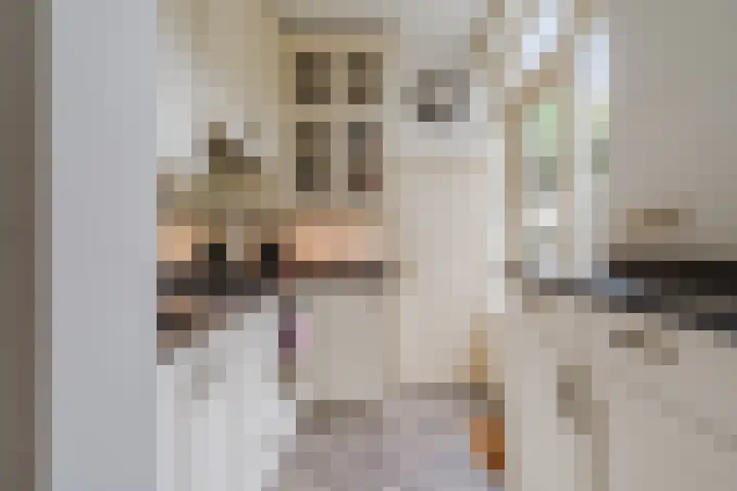 Vinkenstraat 16 Zaandam thumbnail 20