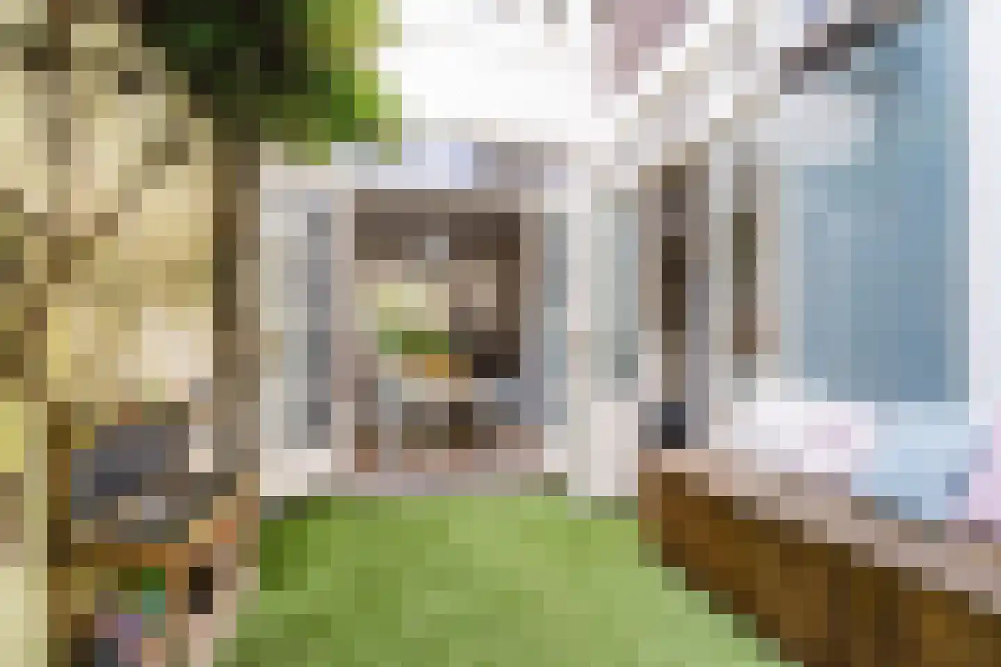 Vinkenstraat 16 Zaandam thumbnail 5