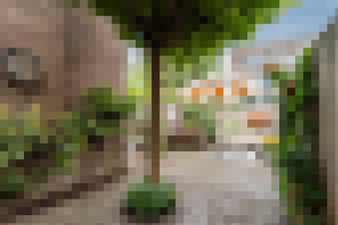 Vinkenstraat 16 Zaandam thumbnail 50