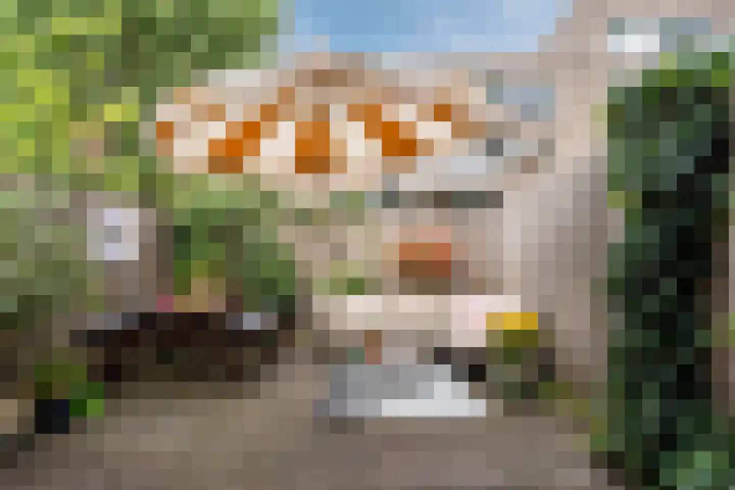 Vinkenstraat 16 Zaandam thumbnail 51
