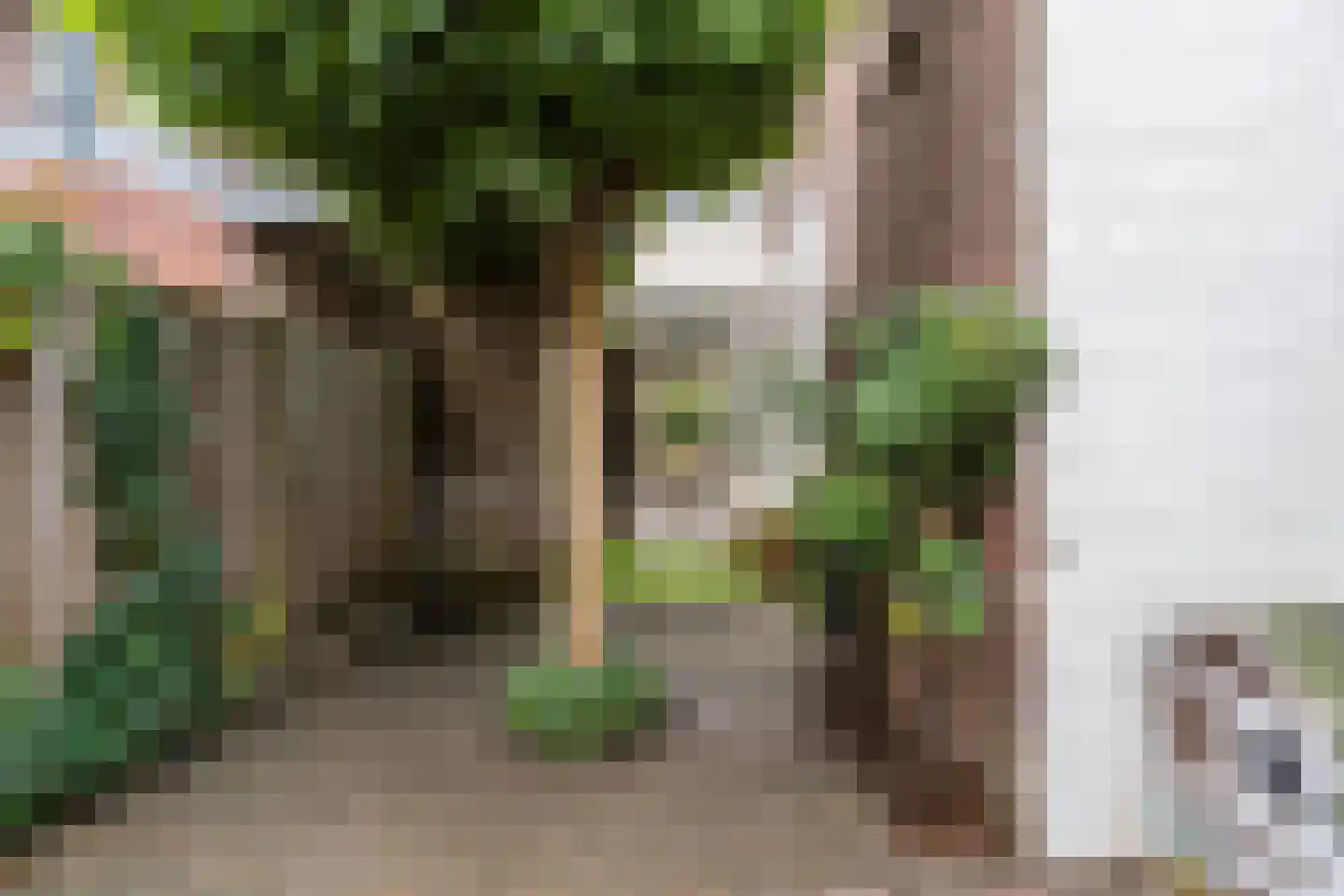 Vinkenstraat 16 Zaandam thumbnail 52