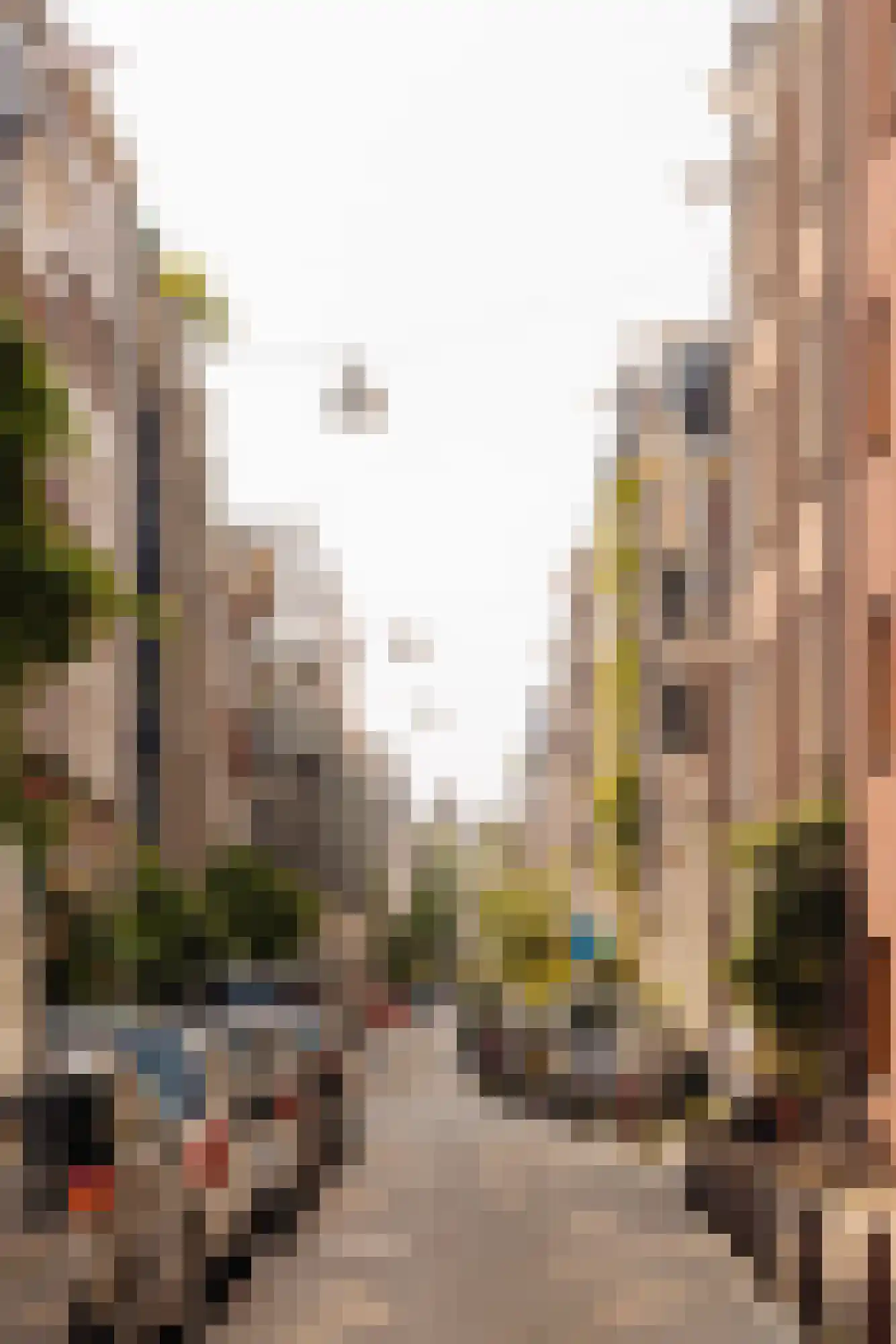 Vinkenstraat 198 Amsterdam thumbnail 20