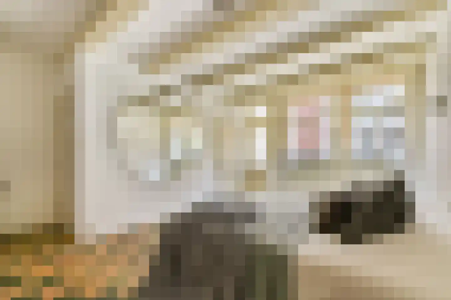 Vinkenstraat 20 Amsterdam thumbnail 16