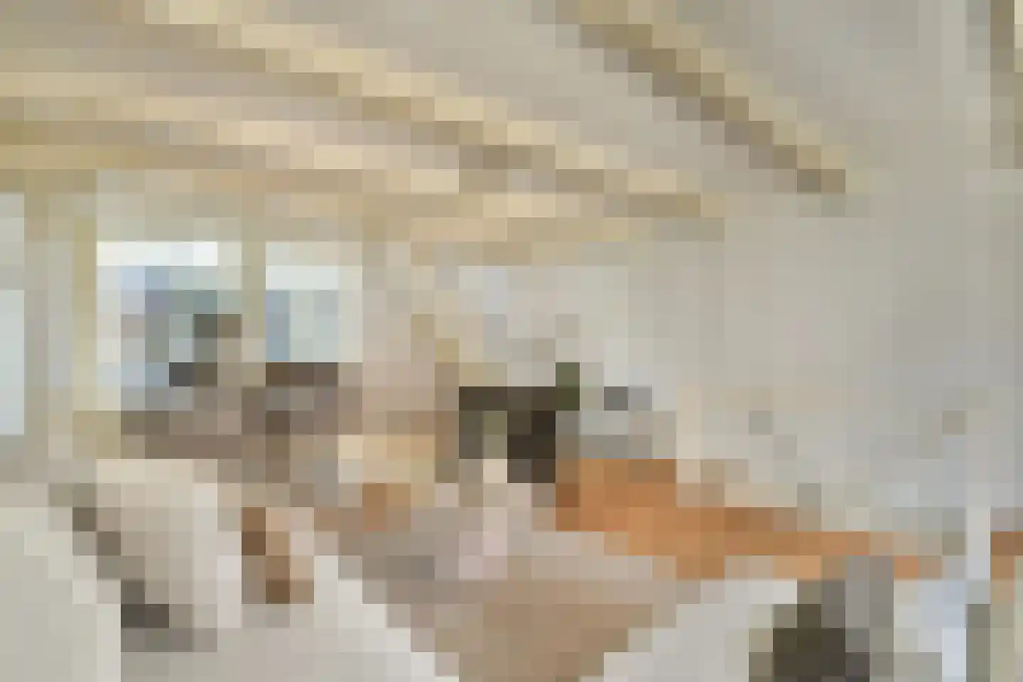 Vinkenstraat 20 Amsterdam thumbnail 4