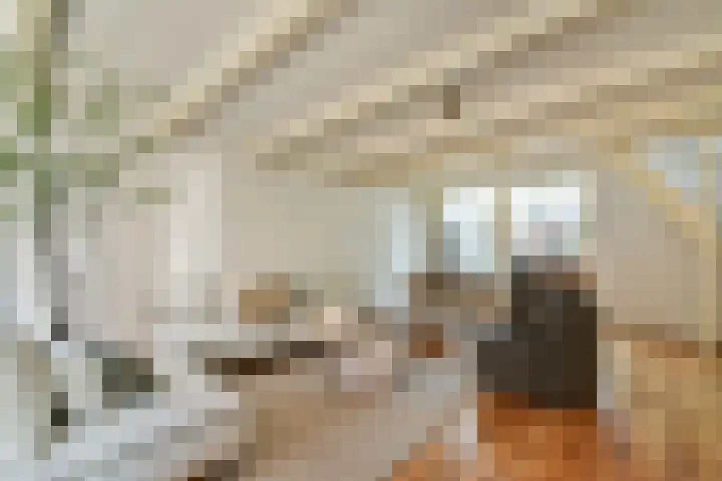 Vinkenstraat 20 Amsterdam thumbnail 5