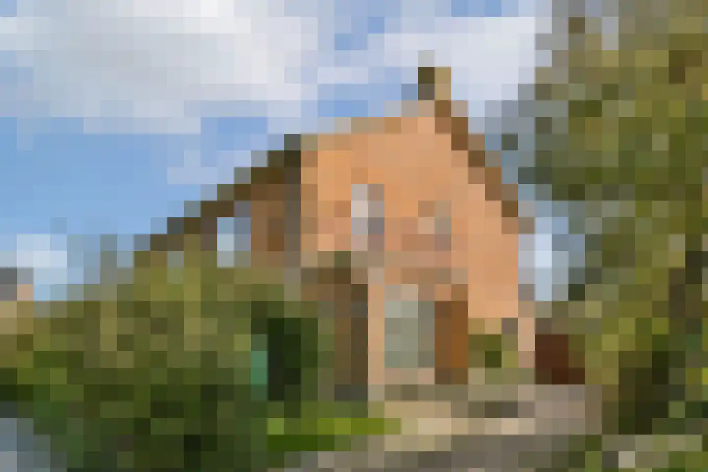 Vinkenstraat 22 Zandvoort thumbnail 6