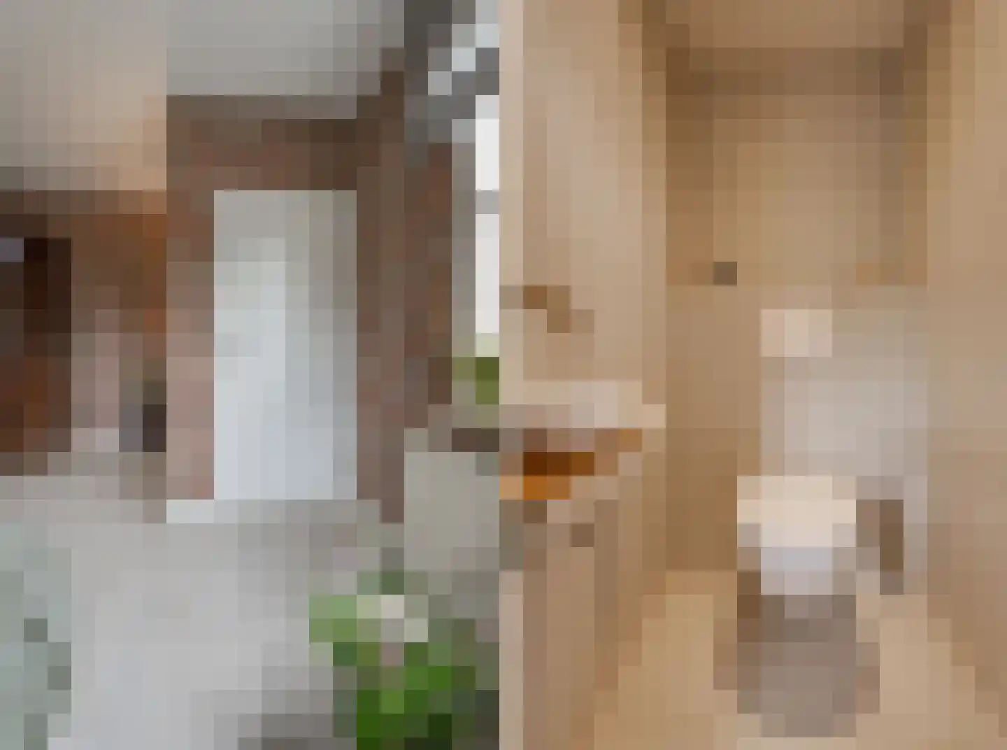 Vinkenstraat 25 Spaubeek thumbnail 17