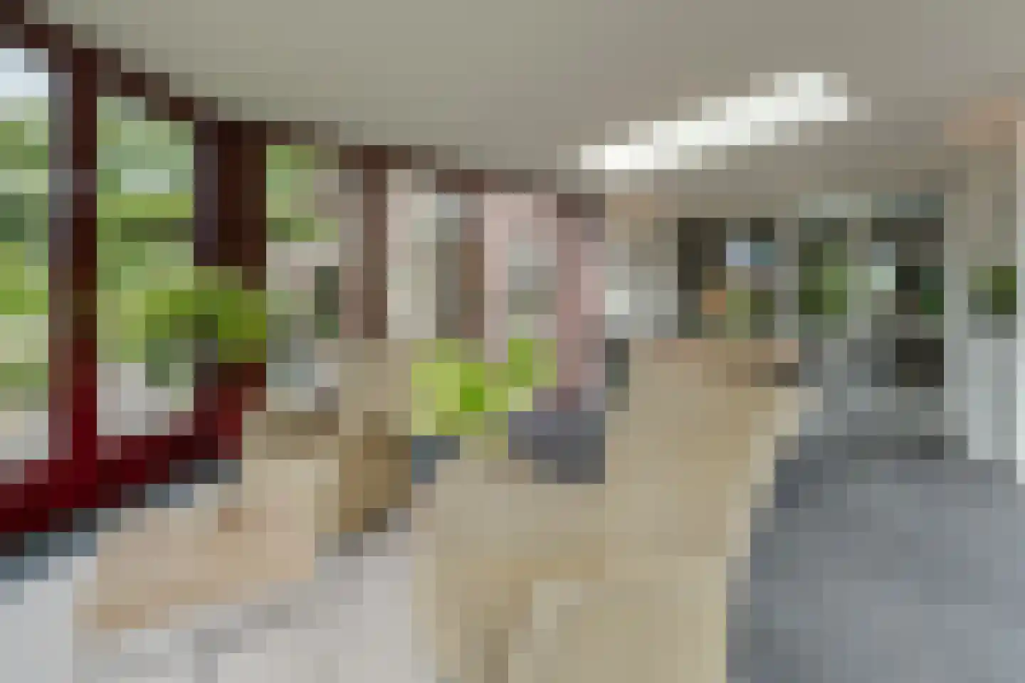 Vinkenstraat 25 Spaubeek thumbnail 30