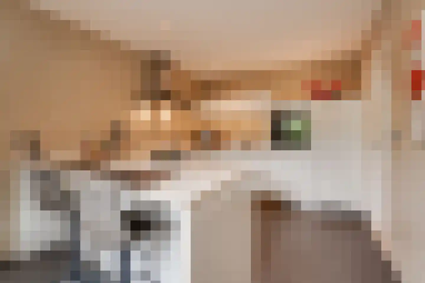 Vinkenstraat 25 Spaubeek thumbnail 32