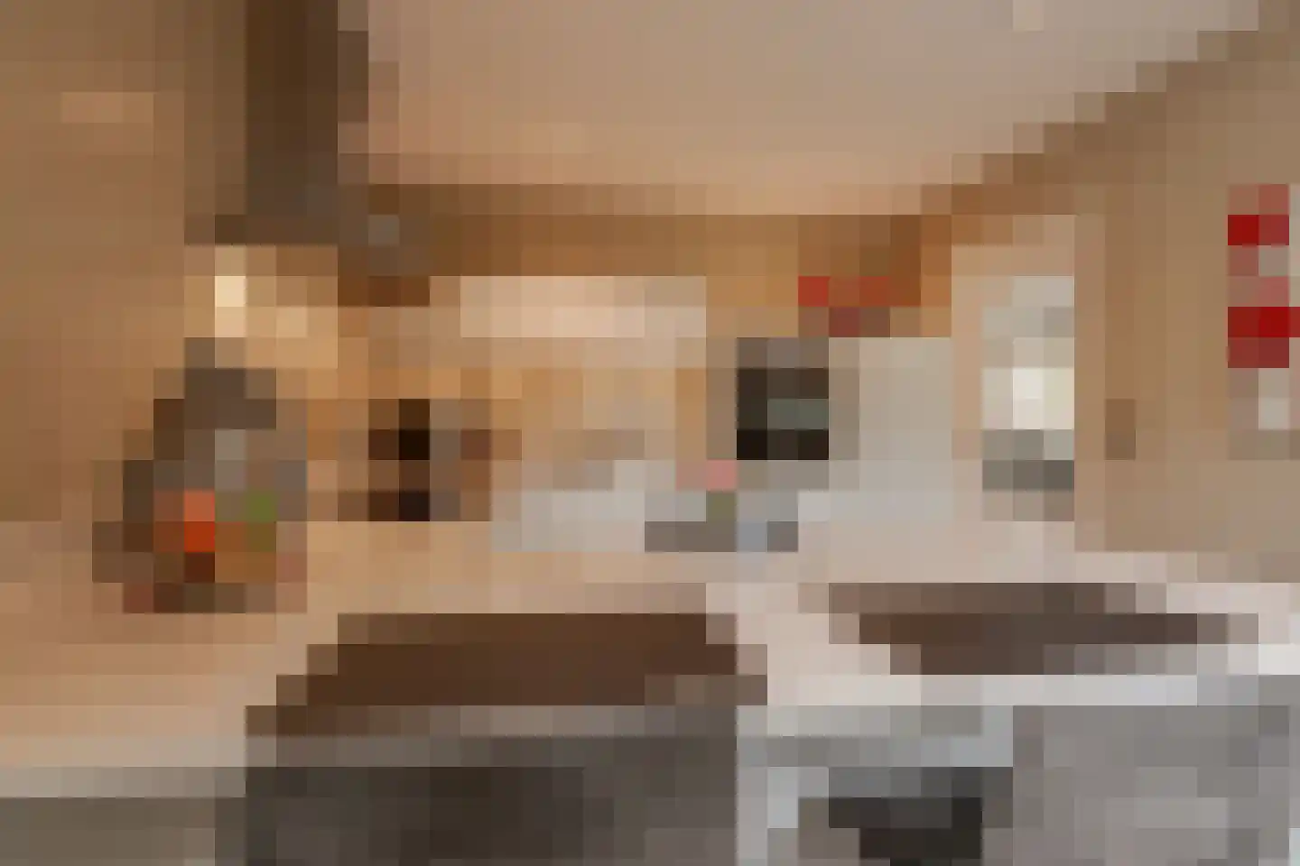 Vinkenstraat 25 Spaubeek thumbnail 33