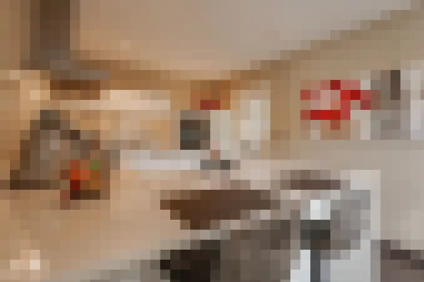 Vinkenstraat 25 Spaubeek thumbnail 34